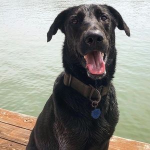 Hello and welcome !! 🤩